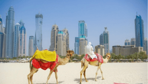 دبی شهر 