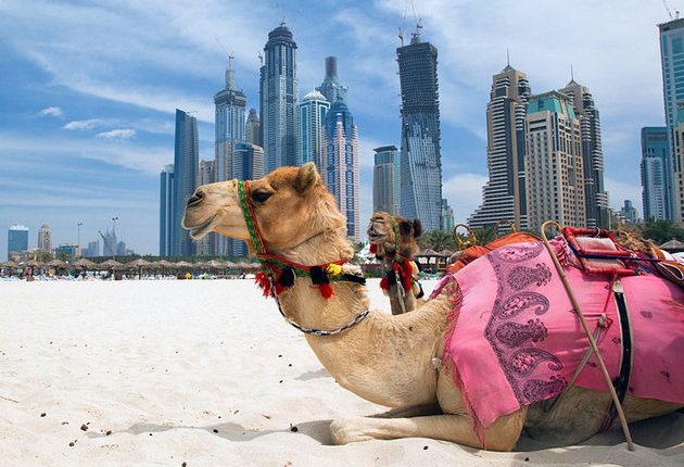 بخش گردشگری اماراتی