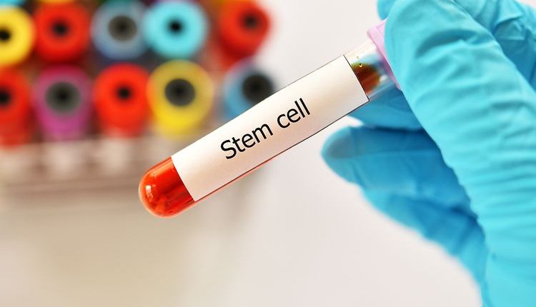 تلاش های امارات